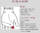 誠山会手相占い講座『✫基礎コース★』が修得できます 本格的な『プロの手相家✋』を目指すための手相占い講座資料です イメージ6