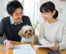 ペット系向けの広告映えするAI画像生成します 【3枚セット】リアル感のあるゆるふわAIモデル画像の生成 イメージ8