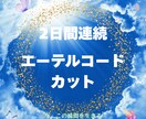 2日間エーテルコードカットします ★★修復もします&一言メッセージ付き イメージ1