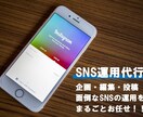 広現在告代理店勤務のプロがSNS運用代行します めんどうなSNSの運用を代行します！ イメージ1