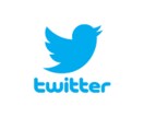 ツイッターのフォロワー・いいね等を増やします フォロワーやいいね等を最低1000人から増やします！ イメージ2