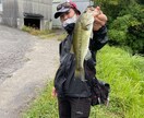 淡路島野池郡教えます いろんな池がある中でバスがいる所教えます イメージ2
