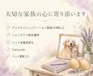 何を考えてるの？ペットの気持ちを通訳します ペットの本音聞いてみませんか？アニマルコミュニケーション イメージ4