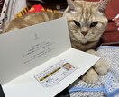 デジタル名刺プレーリーカードでも対応します デジタル名刺プレーリーカードを、うちの子免許証でデザイン！ イメージ1