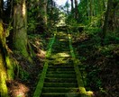 人生総合｜神職の神域霊視で不運を断ち幸運へ導きます 神託で魂の澱みを浄化し、あなたのお悩みを解明します イメージ10