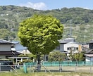 あなたのまんま⭐️そのままお話し聞きます カウンセリングじゃないあなたの思いに寄り添います イメージ2
