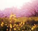 術前診断のみ｜波動と守護霊団からみた現状を視ます ★施術は含まれないため「定期検診」としてのご利用も可能 イメージ10