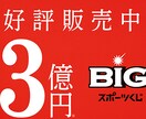 サッカーくじBIG2500口分の購入結果を教えます 55万円を投資した結果10万円以上の当選金が発生しました イメージ1