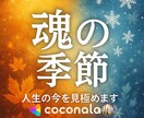 魂季節リーディング｜いまの魂の季節を読み解きます あなたの魂は、いまどの“季節”を生きていますか？ イメージ1