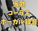 仮歌・ボーカル録音やコーラス入れます シンガーソングライターがあなたの曲に歌声とコーラス入れます イメージ2