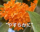 想ってくれてありがとう♡遺族経験者が寄り添います 遺族の無念さ♡心痛　後悔　心神喪失　孤独感　弱音愚痴何でも イメージ2