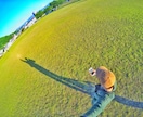 GoProのみ！GoPro画像を編集・加工します #これであなたもGoProのある生活！SNS映え間違いなし。 イメージ4