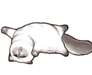 動物のイラストを描きます デフォルメしたペット、動物の似顔絵イラストを描きます。 イメージ5