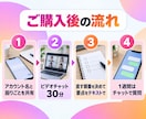 運用代行会社の代表がインスタ運用の相談にのります ビデオ30分＋1週間チャット｜代行に出す前の方針決め イメージ3