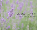 目を惹くWeb広告！バナー・ヘッダー作成します 伝わるデザインをご提案いたします！ イメージ3