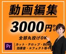 丸投げOK!！動画編集お受けします 低価格、高品質で手を抜かず対応させて頂きます！ イメージ1