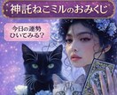 おみくじタロットで神託ねこミルが運勢を視ます ミルが届ける、今の運気と開運への導き イメージ1