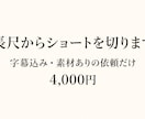 長尺からショートを切り字幕を乗せますます 長尺の素材がある依頼だけ受けます イメージ1