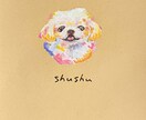 顔のみ / 大切な愛犬の似顔絵を描きます ご家族の好きな色で愛犬の似顔絵を手描きでお届けします イメージ2