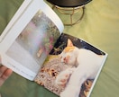 写真から、あなただけの宝物アルバムをお作りします 写真が増えて整理できない…そんなあなたの代わりに作ります イメージ3
