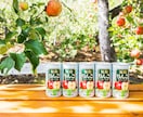 購買意欲をそそる「物撮り」承ります 加えて、売れるための提案もさせていただいております。 イメージ4