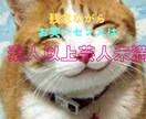 お気軽にどうぞ！緊張しない話し相手になります 安心安全ポジティブにお話しをお聞きします( ◠‿◠ ) イメージ1