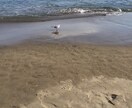 ムカついて腹の虫が収まらない！その虫もらいます 怒りの感情やイライラ、全部ぶちまけちゃって （`3′怒） イメージ8