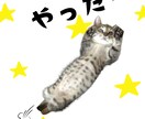ペット写真からLINEスタンプ16個セット作ります ☆大切なペットをオリジナルLINEスタンプに イメージ8