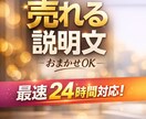 売れるメルカリ商品説明文をプロ目線で作成します あなたの商品、売れる文章に変えます！ イメージ1