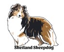 愛犬のお写真からイラスト製作いたします 思い出を形に、また愛犬家へのプレゼントとして イメージ1