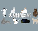 獣医師が犬猫の健康相談、悩み相談に乗ります 動物病院勤務の現役獣医師が相談に乗ります イメージ1