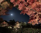 京都市内の観光地、穴場スポット写真代行致します 『コロナ禍でなかなか京都観光に行けない』という方に必見‼︎ イメージ3