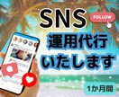 SNSのアカウント運用代行します 忙しいあなたに代わりあらゆるSNSの運用代行をします イメージ1