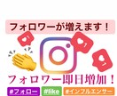 インスタフォロワー増やします 先着20名金額！即日フォロワー増加！ブランディングに最適！ イメージ1