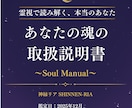 簡易版｜霊視で読み解く魂のトリセツをお届けします 本来のあなたを知る/性格/才能/恋愛傾向/人生の課題/開運 イメージ2