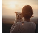 ペットロスに陥っている方へ、ヒーリングをいたします アニマルコミュニケーターが飼い主さん向けにヒーリングをします イメージ4