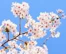 日本の未来が不安❗️今すぐ簡単に出来ること伝えます 移民（外国人）問題・治安悪化・日本人貧困化 ・環境破壊など イメージ10