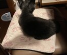 何でも聞きます お暇な方、悩んでる方、何でも聞きます。 イメージ1