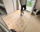 賃貸OK！愛犬の傷や汚れ、悩みをプロが解決します 愛犬の住まい相談！壊されない・汚れない空間をDIY提案 イメージ1