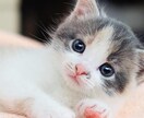 心身のお悩みお任せください。一緒に改善策を考えます 国家資格所持。心身の不調お任せください。 イメージ1
