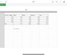 安くiOSのnumberでの表入力受けます iOS端末にあるnumberにてなどの表の入力代行をします。 イメージ1