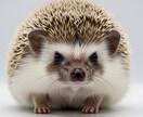 わんちゃん、ねこちゃんの本当の声をお届けします ペットちゃんの魂を読み解き普段聞けない声をお届けします。 イメージ5