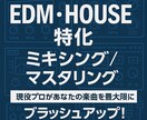 現役音楽クリエイターがミックスマスタリングします 【EDM,ハウス】海外音楽レーベルから多数のリリース経験あり イメージ1