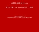 女性専用 電話でアナタのココロのケア致します カエルと楽しくお話ししましましょう。 イメージ4