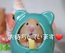 短時間からでもOK!✨あたなの気持ちに寄り添います 愚痴/悩み/人間関係/モヤモヤした想い否定なしでお聴きします イメージ7