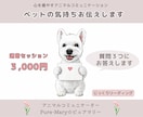 アニマルコミュニケーションします ★ペットの気持ちをやさしくお伝えします イメージ1
