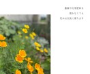 循環する庭作りの相談にのります 農薬や化学肥料に頼らない庭作りを一緒に考えましょう イメージ8