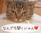 推しの話聞きます こっそり推してる人の話聞きます♡ イメージ1