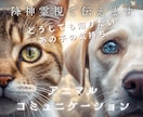 本音を聞いてみませんか？ペットの魂の声を霊視します 前世から来世まで、愛するあの子のメッセージを伝えます イメージ1