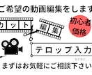 初心者出品｜CapCutで動画を丁寧に編集します 実績作り中のため低価格｜※必ずサービス内容をご覧下さい イメージ1